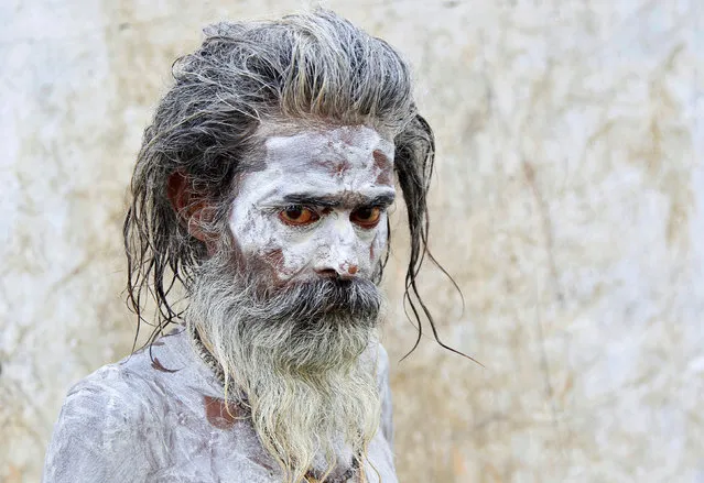 A Naga Sadhu or Hindu holy man with his face covered with ash, is pictured after taking a dip in the waters of Shipra river at the Simhastha Kumbh Mela in Ujjain, India, May 17, 2016. (Photo by Jitendra Prakash/Reuters)