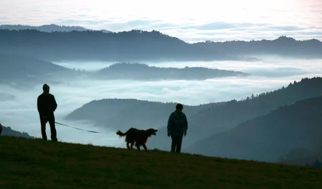 In this November 13, 2005 file photo, a man and a woman walk their dog along the mountain Schauinsland near Freiburg, southern Germany, with fields of fog in the Rhine valley. The long-debated question of where dogs first appeared has always been complex, and now a new study suggests it may have two answers. Dogs arose from the domestication of wolves, and research released Thursday, June 2, 2016 by the journal Science suggests this happened twice, once in Asia and also in either Europe or the Near East. (Photo by Winfried Rothermel/AP Photo)