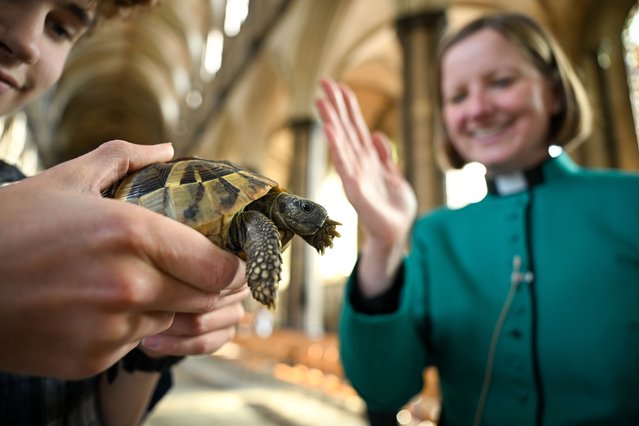 Canon Precentor Anna Macham blesses a tortoise during the first ever pet service at Salisbury Cathedral, on September 14, 2024 in Salisbury, United Kingdom. All Creatures Great And Small: A Service Of Blessing For Our Pets is the first ever service held for pets at the Cathedral. Aimed at children and their families, the service includes readings, hymns and music sung by the Cathedral choristers and the Cathedral’s Junior Choir. Canon Precentor Anna Macham said: “Pets can be very important to our lives, offering comfort and companionship. We hope this service will be an uplifting and enjoyable afternoon, celebrating the bond many of us have with our animals”. (Photo by Finnbarr Webster/Getty Images)