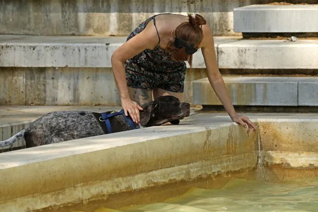 A woman splashes water from a pond onto her dog during hot weather in Madrid, Spain, Wednesday, July 13, 2022. Weather forecasters say Spain is expected to have its second heat wave in less than a month and that it will last at least until the weekend. Meteorologists said an overheated mass of air and warm African winds are driving temperatures in the Iberian Peninsula beyond their usual highs. (Photo by Paul White/AP Photo)