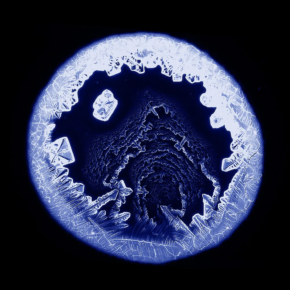 Images Taken by Scientists at Work