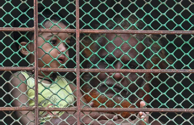 Indian people looks out from the window of their house during the coronavirus emergency lockdown in Mira road, on the outskirts of Mumbai, India, 13 April 2020. Maharashtra state announced lockdown until 30 March 2020 to stem the widespread of the SARS-CoV-2 coronavirus, which causes the COVID-19 disease. (Photo by Divyakant Solanki/EPA/EFE)