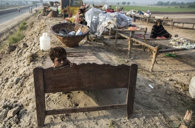 A flood victim looks over the headboard of a bed near his family's belongings as they wait for help along a road in Multan, Punjab province September 13, 2014. Floods that have killed 450 people in India and Pakistan began to recede on Wednesday giving rescue teams a chance to evacuate thousands of stranded villagers. (Photo by Zohra Bensemra/Reuters)