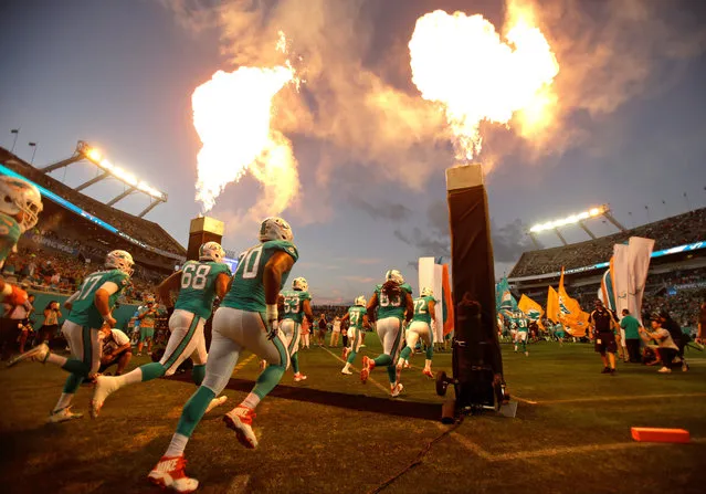 Miami Dolphins players take the field before an NFL preseason football game against the Atlanta Falcons in Orlando, Fla., Thursday, August 25, 2016. (Photo by John Raoux/AP Photo)