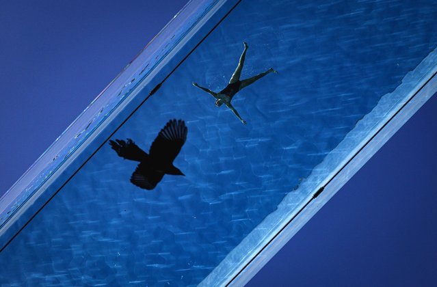 A woman swims as a bird flies underneath the Sky Pool, a transparent acrylic swimming pool bridge between apartment blocks, in London on March 5, 2025. (Photo by Adrian Dennis/AFP Photo)