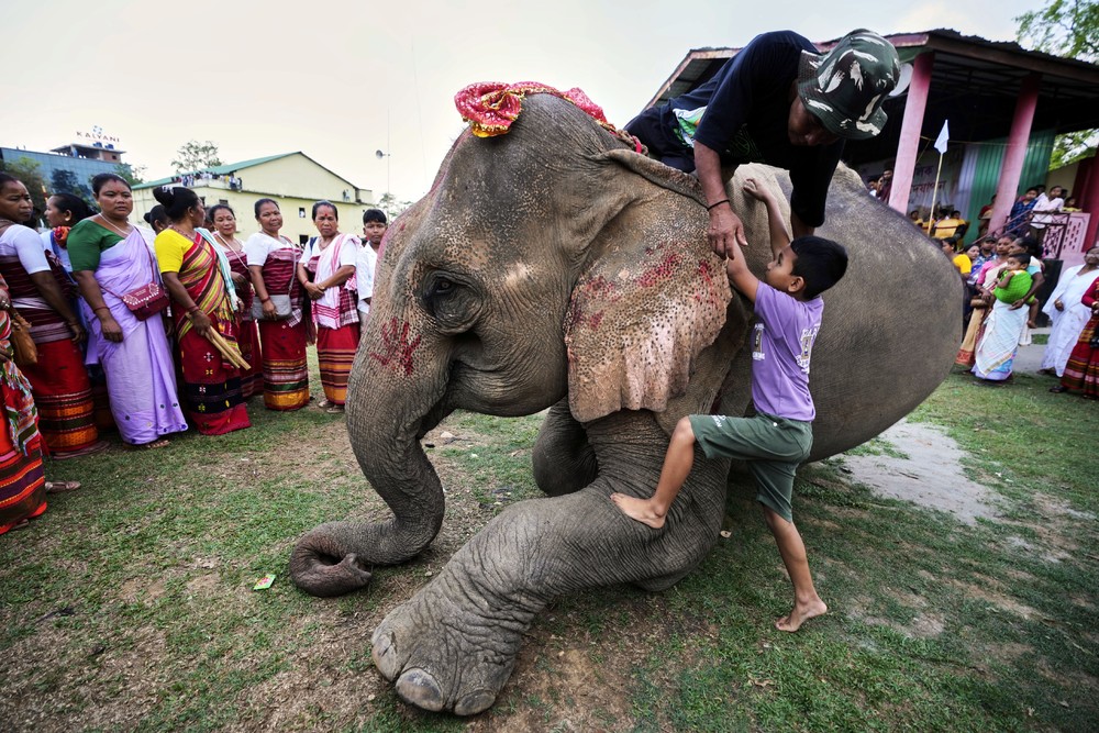 A Look at Life in India