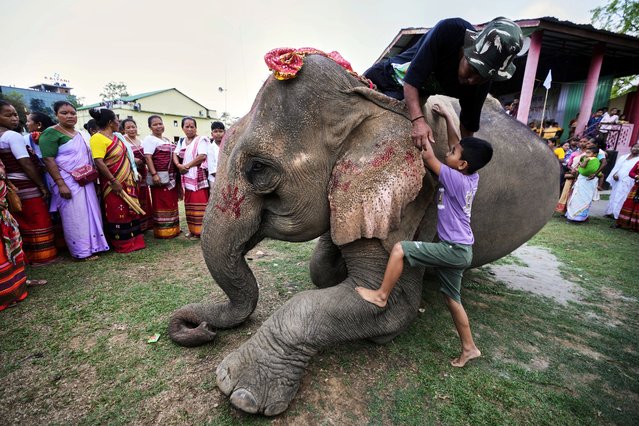A boy rides on an elephant during the Suori tribal festival in Boko, west of Guwahati, India, Saturday, April 19, 2025. (Photo by Anupam Nath/AP Photo)