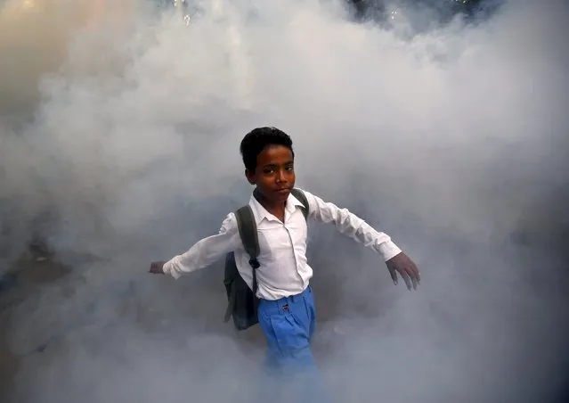 A schoolboy walks amid fumes emitted from fumigation work carried out by a municipal worker (unseen) in a residential locality in New Delhi, India, September 15, 2015. (Photo by Anindito Mukherjee/Reuters)