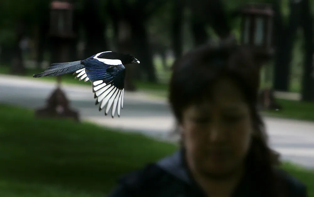 China: Land of Contrasts