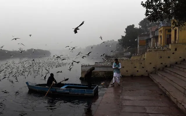 An Indian man (R) prepares to board a boat to feed seagulls on a foggy morning on the banks of the Yamuna River in New Delhi on January 3, 2018. (Photo by Prakash Singh/AFP Photo)