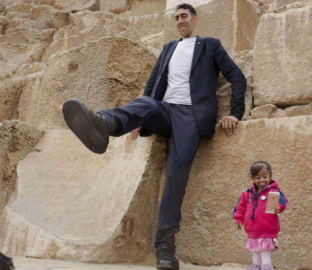 Sultan Kosen, from Turkey, 34, the tallest man on earth according to the Guinness World Records, with a height of 246.5 cm ( 8 feet 1 inch), stands on the Great Pyramid as Jyoti Amge, from India, 24, who holds the Guinness title for world's shortest woman with 62.8 cm (2 ft 06) tall, holds her mobile phone at the historic site of Giza Pyramids in Cairo, Egypt, Friday, January 26, 2018. Both were invited by the Egyptian Tourism Promotion Board to visit Cairo's most famous sites, in an attempt to help boost tourism in Egypt. (Photo by Amr Nabil/AP Photo)