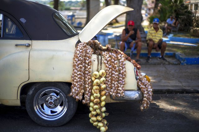 Garlic and onions for sale hang from the trunk of a classic American car in Cojimar, east of Havana, Cuba, Tuesday, March 25, 2025. (Photo by Ramon Espinosa/AP Photo)