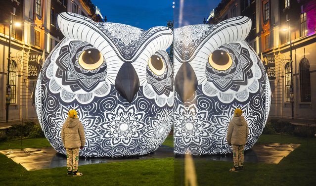 People view Nocturnal by Glow Art Creations ahead of the opening of Light Night Leeds, the UK's largest annual arts and light festival on Tuesday, October 21, 2025. (Photo by Danny Lawson/PA Images via Getty Images)