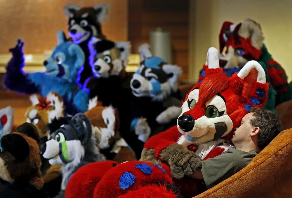 Furries of FurFest