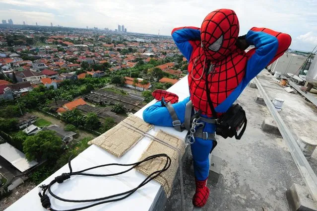 Indonesian “Spider-Man” window cleaner, 37-year-old Teguh prepares his equipment before he cleans the glass windows of the 18-storey Alana Hotel on July 12, 2013 in Surabaya, Indonesia. Teguh is a specialist glass window cleaner working on high-rise buildings wearing a Spider-Man uniform and working at an altitude of over 500 meters above ground level. He earns between Rp. 5 million and 15 million depending on the height of the building and the level of difficulty. (Photo by Robertus Pudyanto/Getty Images)