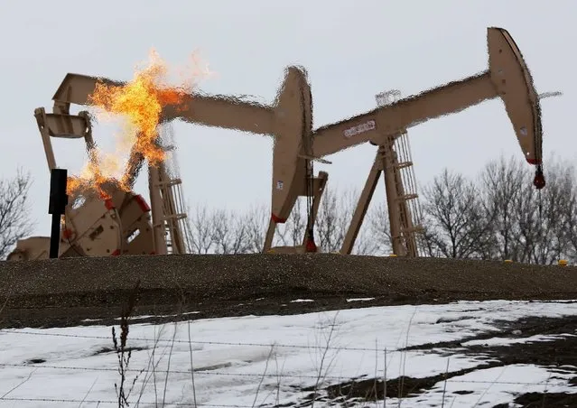 Natural gas flares are seen at an oil pump site outside of Williston, North Dakota in this March 11, 2013 file photo. North Dakota is poised to impose the strictest oil standards in its history December 9, 2014, requiring every barrel of crude to be filtered for dangerous types of natural gas in an effort to make crude-by-rail transport safer. (Photo by Shannon Stapleton/Reuters)