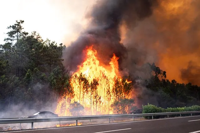 Smoke billows in the sky in a forest fire as pictured from the A1 highway in the locality of Cardosos caused the motorway to be cut off this afternoon, Leiria, Portugal, 7 August 2023. (Photo by Paulo Cunha/EPA/EFE/Rex Features/Shutterstock)