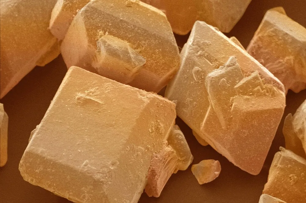 Food Under the Microscope