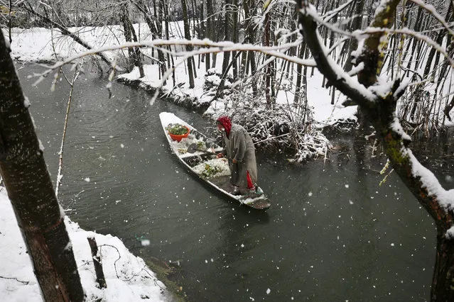A Kashmiri boatman rows his boat laden with vegetables through a water channel during fresh snowfall Srinagar, the summer capital of Indian Kashmir, March 16, 2015. Fresh snowfall March 16, has disrupted normal life across Indian Kashmir, as air traffic remained suspended and the forced closure of Srinagar-Jammu national highway, the only road link connecting Kashmir region with rest of world, effectively cut the country off. (Photo by Farooq Khan/EPA)