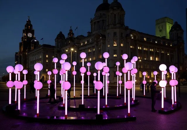 People interact with an illuminated artwork entitled “Glow” on the opening night of the River of Light art festival in Liverpool, Britain on October 26, 2023. (Photo by Phil Noble/Reuters)