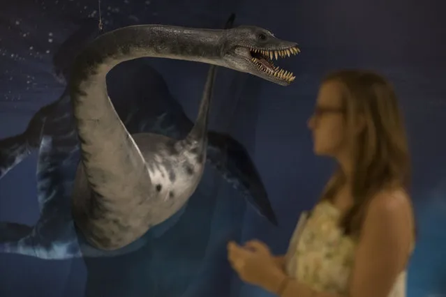 In this January 16, 2019 photo, a sculpture of a Plesiosaur is displayed at an exhibit about the studies of researchers from the National Museum made in Antartica, during a media presentation of the exhibit in Rio de Janeiro, Brazil. The National Museum will inaugurate on Jan. 17 their first exhibition after the fire, held at the building that houses the Cultural Center and Museum of Brazil's Mint. (Photo by Leo Correa/AP Photo)