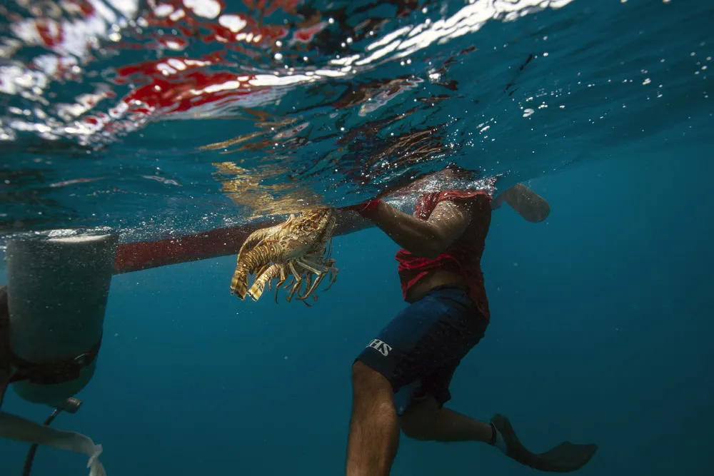 Lobster Divers of Honduras