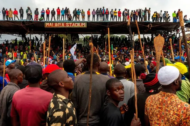 Supporters and fans gather to dance and chant in between matches during a traditional bullfighting tournament in Malinya Stadium, near Kakamega on January 1, 2024. Bullfighting is a popular cultural practice in some areas of Western Kenya, particularly in Kakamega County. A huge tournament marks the beginning of every year in Malinya Stadium where thousands of spectators gather to watch, celebrate the new year and support their favourite bulls, but unlike the Spanish-style bullfighting, the Kakamega bullfighting involves bulls fighting each other. (Photo by Fredrik Lerneryd/AFP Photo)