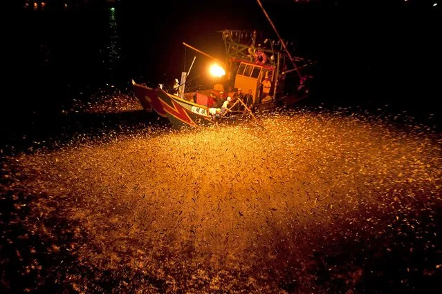 These fishermen in Taiwan are the last practitioners of an old technique. Working in the waters near New Taipei City, they go out in a boat and light acetylene torches – then watch as the sulfuric fire draws mackerel into their nets. This image was published in September’s Visions of Earth, a trio of photos that appear in each issue of National Geographic magazine. (Photo by Chang Ming Chih/National Geographic)