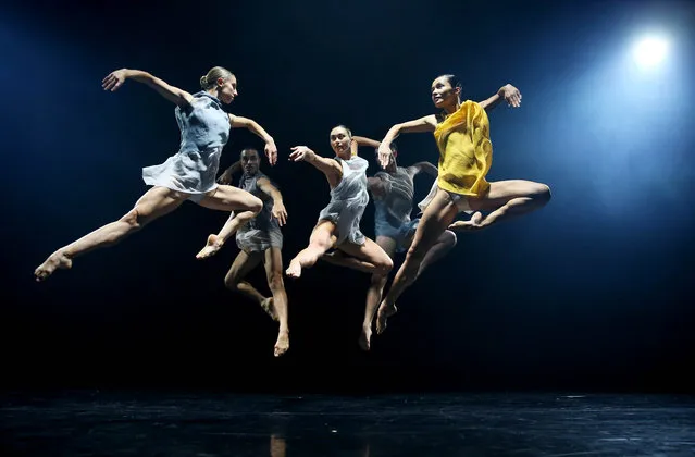 Dancers perform during a media preview at Roslyn Packer Theatre on March 25, 2019 in Sydney, Australia. Sydney Dance Company's 50th Anniversary Triple bill features work from Australian choreographic talents Rafael Bonachela, Gabrielle Nankivell and Melanie Lane. (Photo by Don Arnold/WireImage)