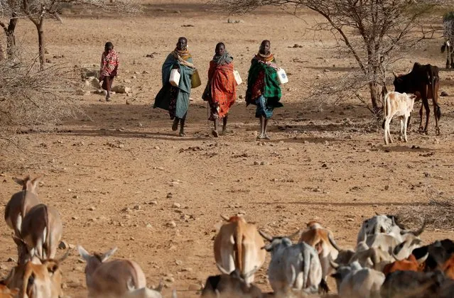 Turkana women carry canisters to get water from a borehole near Baragoy, Kenya February 14, 2017. (Photo by Goran Tomasevic/Reuters)