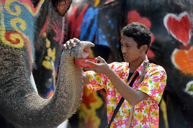 A mahout has his elephants hold a plastic container during water battles as part of celebrations of Songkhran – the Thai new year – in the city of Ayutthaya, north of Bangkok, on April 11, 2016. The Songkhran Festival is marked throughout Thailand with water fights during the days around the new year on April 13. (Photo by Christophe Archambault/AFP Photo)