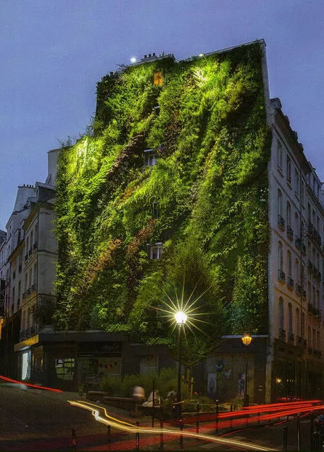 Vertical Garden - By Patrick Blanc in Madrid, Spain