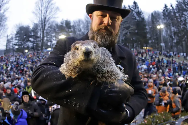 Groundhog Club co-handler Al Dereume holds Punxsutawney Phil, the weather prognosticating groundhog, in front of the crowd gathered for the 133rd celebration of Groundhog Day on Gobbler's Knob in Punxsutawney, Pa. Saturday, February 2, 2019. Phil's handlers said that the groundhog has forecast an early spring. (AP Photo/Gene J. Puskar)
