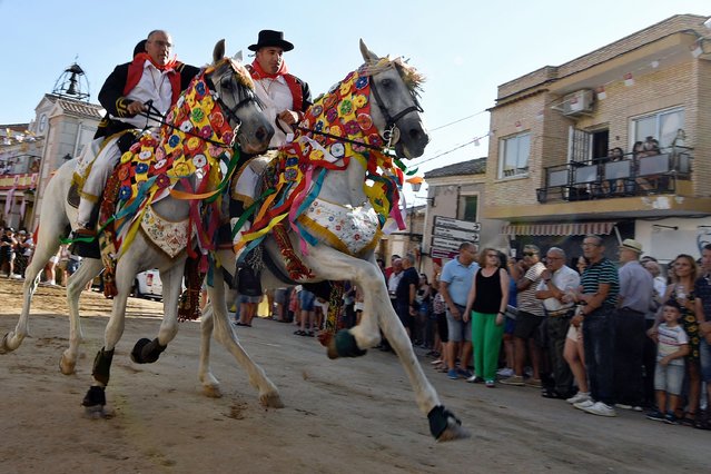 Riders on galloping horses clasp one another during the St. James Festival in the village of El Carpio de Tajo, Toledo, Spain on July 25, 2023. The festival, originally a military training exercise during medieval times using live animals, sees horsemen galloping towards geese suspended by their feet as the mounted participant yanks on the bird's neck until it is torn off. (Photo by Oscar Del Pozo/AFP Photo)