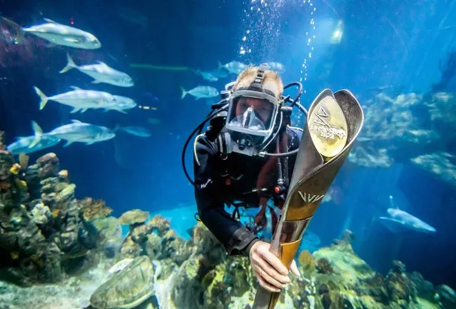 Batonbearer, diver Sebastian Prajsnar carries the Queen's Baton for the Birmingham 2022 Commonwealth Games, in the aquarium at The Deep, sealife attraction in Hull on Wednesday, July 13, 2022, as the baton visits the Yorkshire region during its 25-day tour of England in the final countdown to the games. (Photo by Danny Lawson/PA Images via Getty Images)