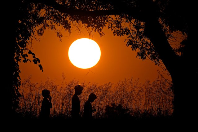 People are silhouetted against the sky at sunset as they walk at Shawnee Mission park, Thursday, September 26, 2024, in Shawnee, Kan. (Phoot by Charlie Riedel/AP Photo)