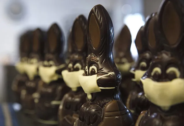 In this photo taken on Wednesday, April 8, 2020, chocolate rabbits with face masks are lined up at the Cocoatree chocolate shop in Lonzee, Belgium. As all non-essential shops in Belgium have been closed due to the outbreak of COVID-19, many chocolatiers have had to resort to online sales, home delivery or pick up on site. (Photo by Virginia Mayo/AP Photo)