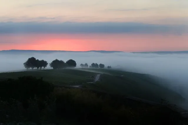 Morning fog raises from vineyards near Escherndorf, southern Germany, on September 20, 2012. (Photo by Karl-Josef Hildenbrand/AFP)