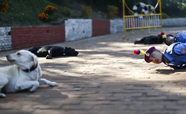 Nepalese police officers perform during a worship ceremony at Nepal's Central Police Dog Training School as part of the Diwali festival, also known as Tihar Festival, in Kathmandu, Nepal, October 22, 2014. (Photo by Narendra Shrestha/EPA)