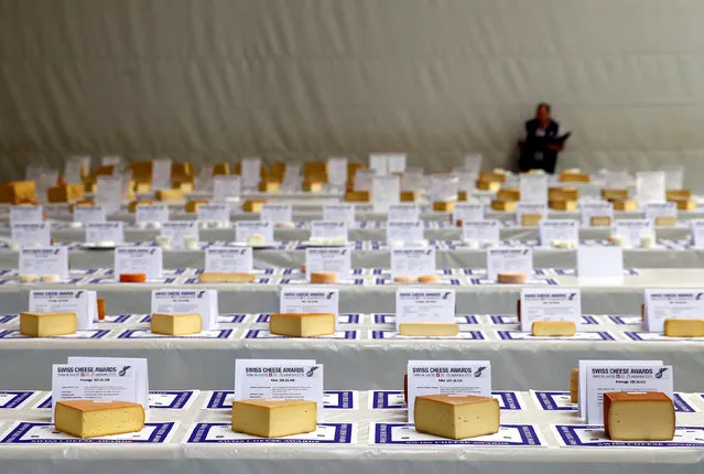 Staff inspect the presentation before the Swiss Cheese Awards competition in Le Sentier, Switzerland September 23, 2016. (Photo by Denis Balibouse/Reuters)