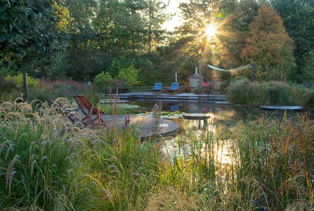 Winner, Outdoor Living category. Ellicar, Doncaster, England. (Photo by Clare Forbes/The Guardian)