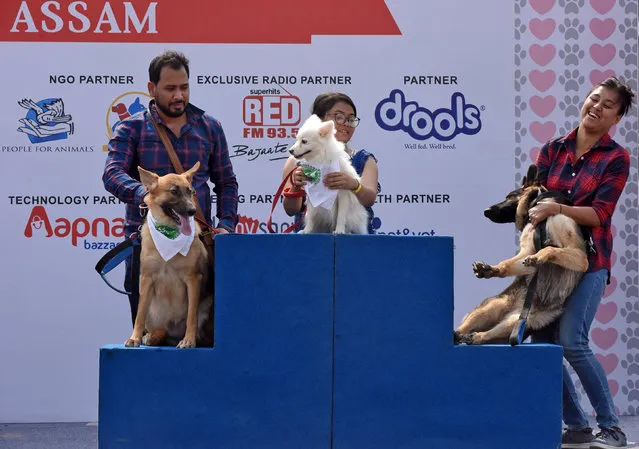 Dog owners get their dogs on the podium to pose for a picture after they participated in a dog show in Guwahati, India, February 18, 2018. (Photo by Anuwar Hazarika/Reuters)