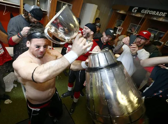 The Grey Cup splits into two pieces as Calgary Stampeders' Matt Walter celebrates in the locker room after his team defeated the Hamilton Tiger Cats in the CFL's 102nd Grey Cup football championship in Vancouver, British Columbia, November 30, 2014. (Photo by Mark Blinch/Reuters)