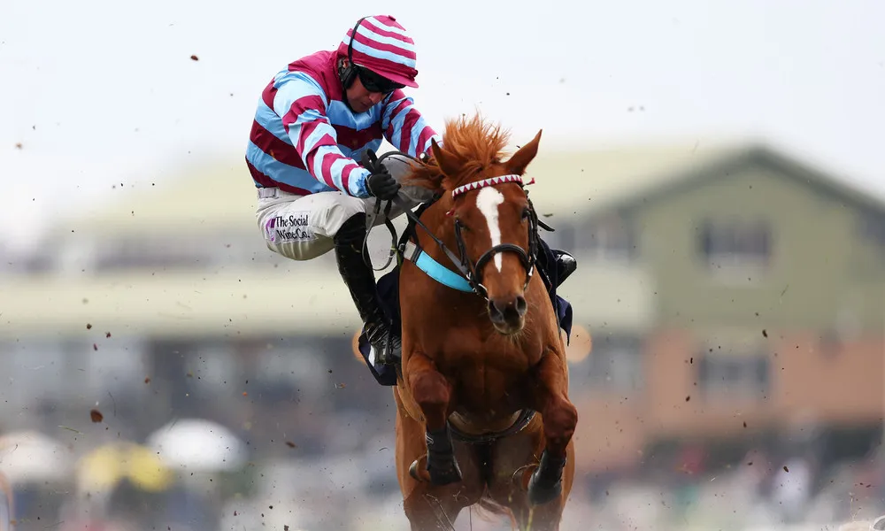 Sport last Week, Part 2/2