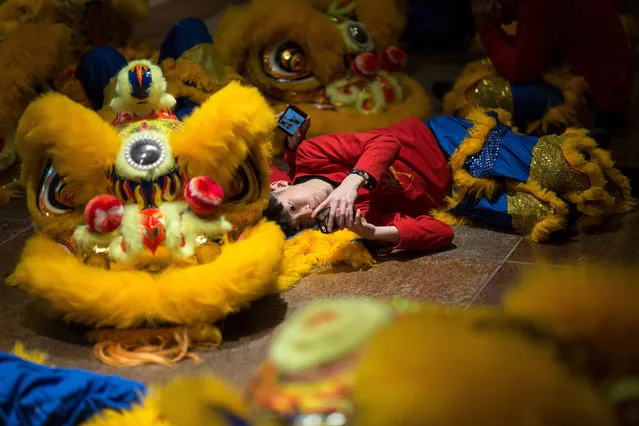 A lion dancer rests before the International Chinese New Year Night Parade in Hong Kong, China, 16 February 2018. The date marks the start of the Lunar New Year and welcomes the Year of the Dog, one of the 12 animals of the Chinese Zodiac. (Photo by Jerome Favre/EPA/EFE)