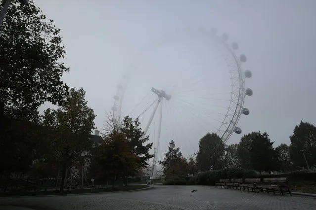 A squirrel runs in the foreground as the London Eye Ferris wheel stands newly closed to visitors and shrouded in fog, on the first day of Britain's second lockdown designed to save its health care system from being overwhelmed by people with coronavirus, in London, Thursday, November 5, 2020. (Photo by Matt Dunham/AP Photo)