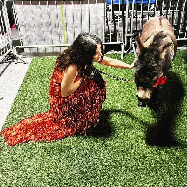 Mexican-American actress Salma Hayek in the last decade of March 2023 spends time with “Banshees of Inisherin” star Jenny. (Photo by salmahayek/Instagram)