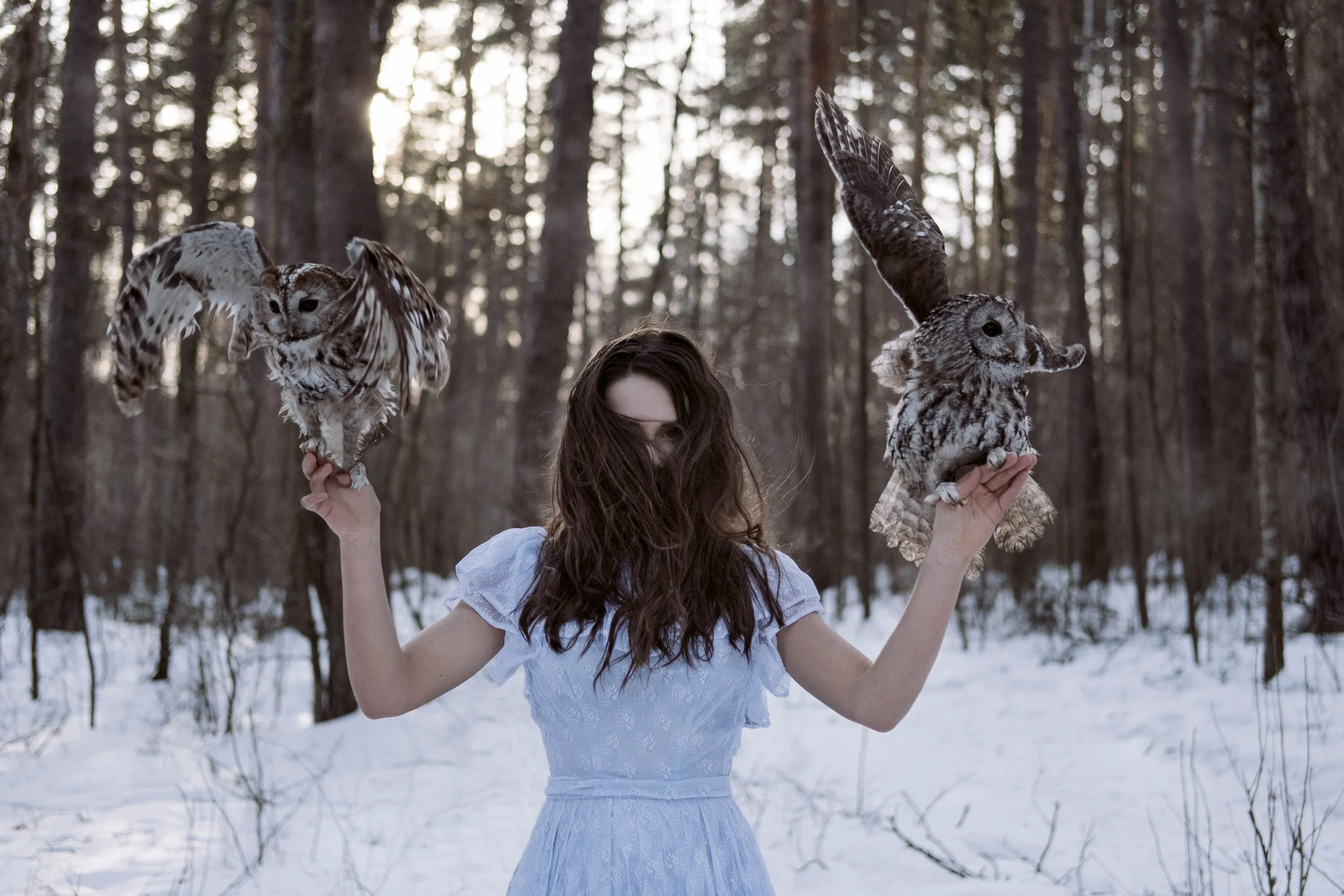 Красивая дикая девушка. Девушка с совой. Фотосессия с совой в лесу. Девушка с совой в лесу. Зимняя фотосессия с совой.