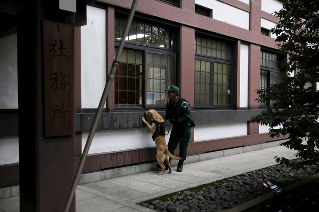 A police dog handler guides a dog as it searches for explosives after a blast at the Yasukuni shrine in Tokyo, Japan, November 23, 2015. (Photo by Toru Hanai/Reuters)