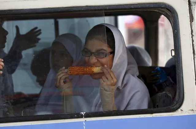 A student bites a corn cob while heading home in a school van in Karachi, Pakistan, November 21, 2015. (Photo by Akhtar Soomro/Reuters)